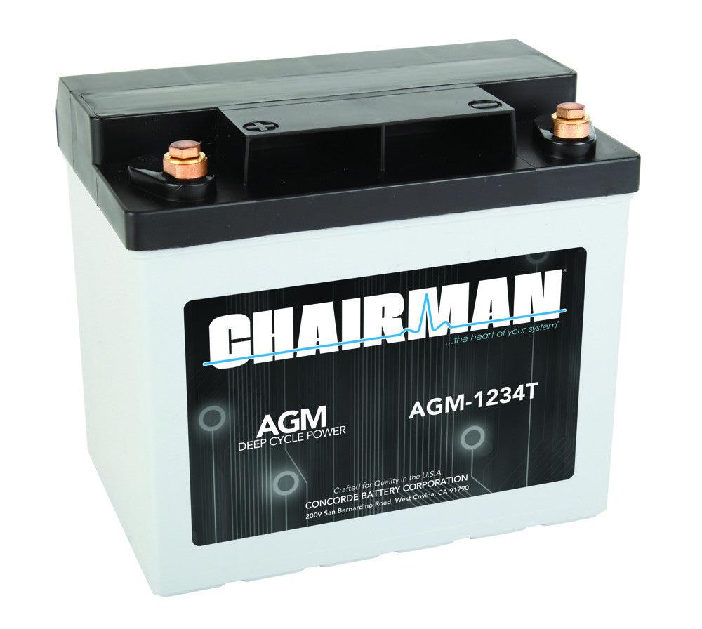 Unbekannt AGM Batterie 100Ah 353x175x190mm für T5 Carbest (9329850530)