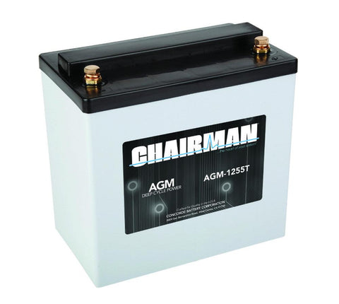 Batterie AGM 50Ah [Scooter handicapé, senior – mobilité réduite]